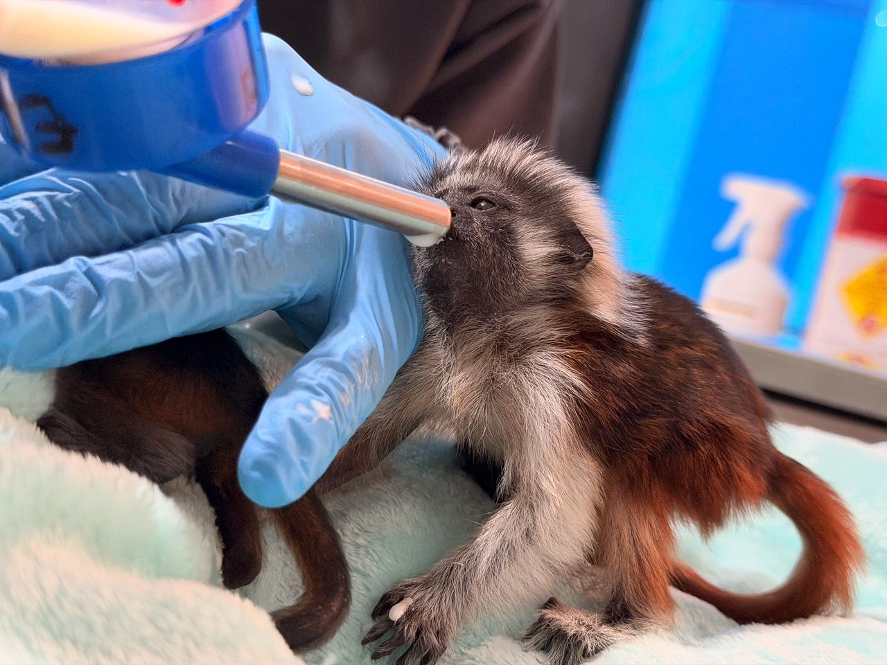 WhatsApp Image 2026 03 30 at 8.11.56 AM 1