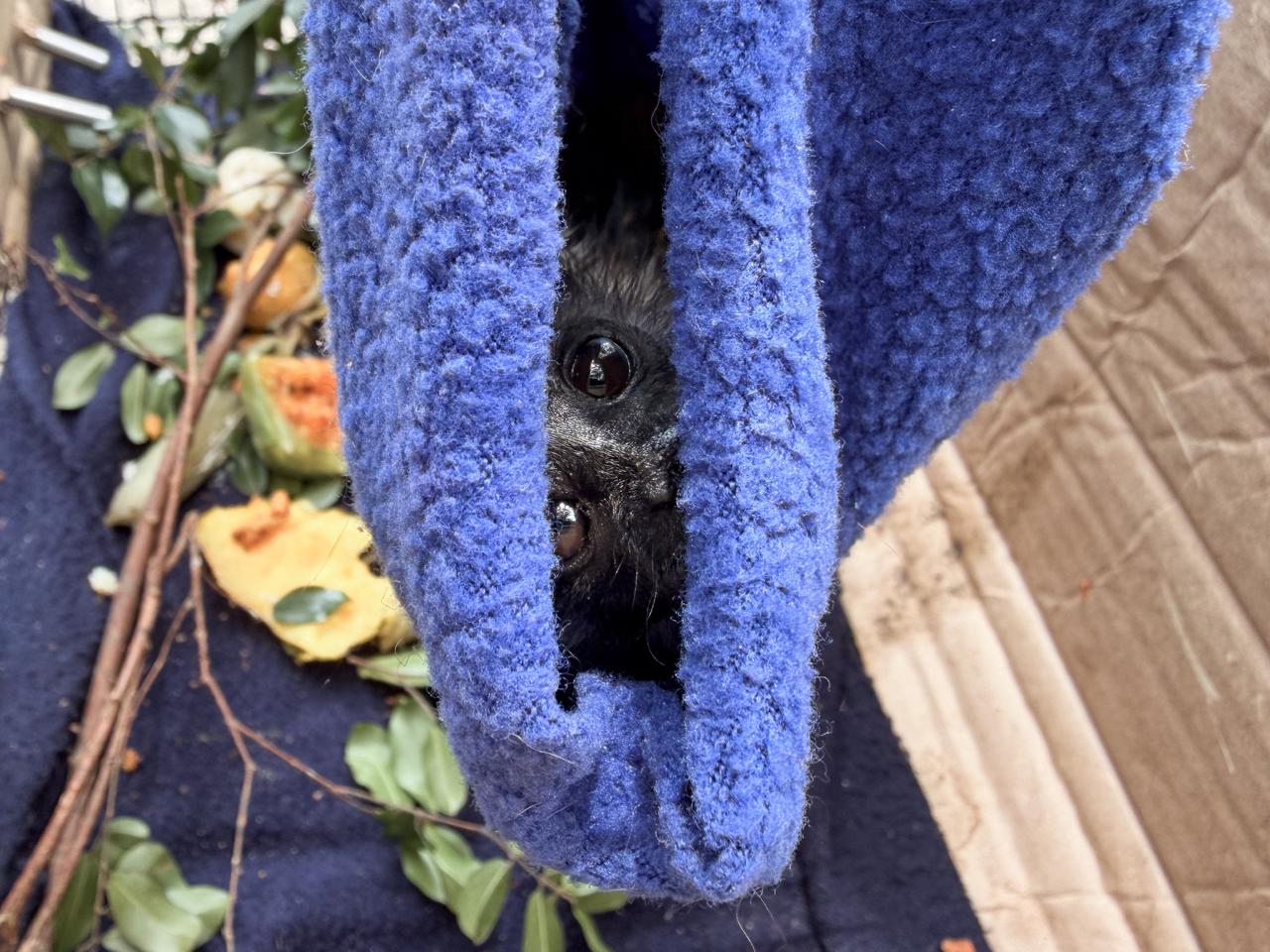 WhatsApp Image 2026 03 30 at 8.11.56 AM 2