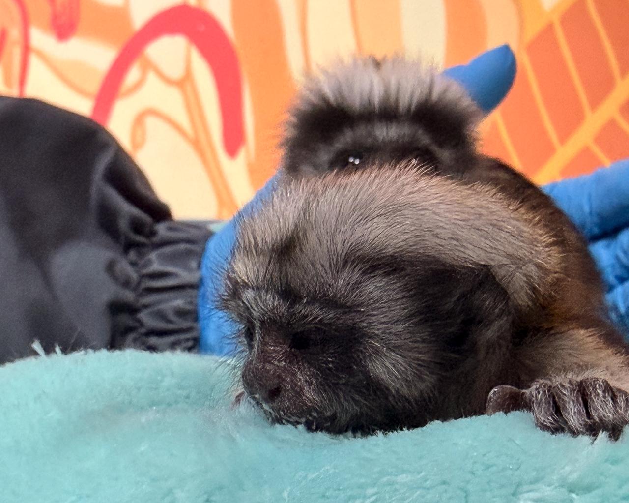 WhatsApp Image 2026 03 30 at 8.11.56 AM