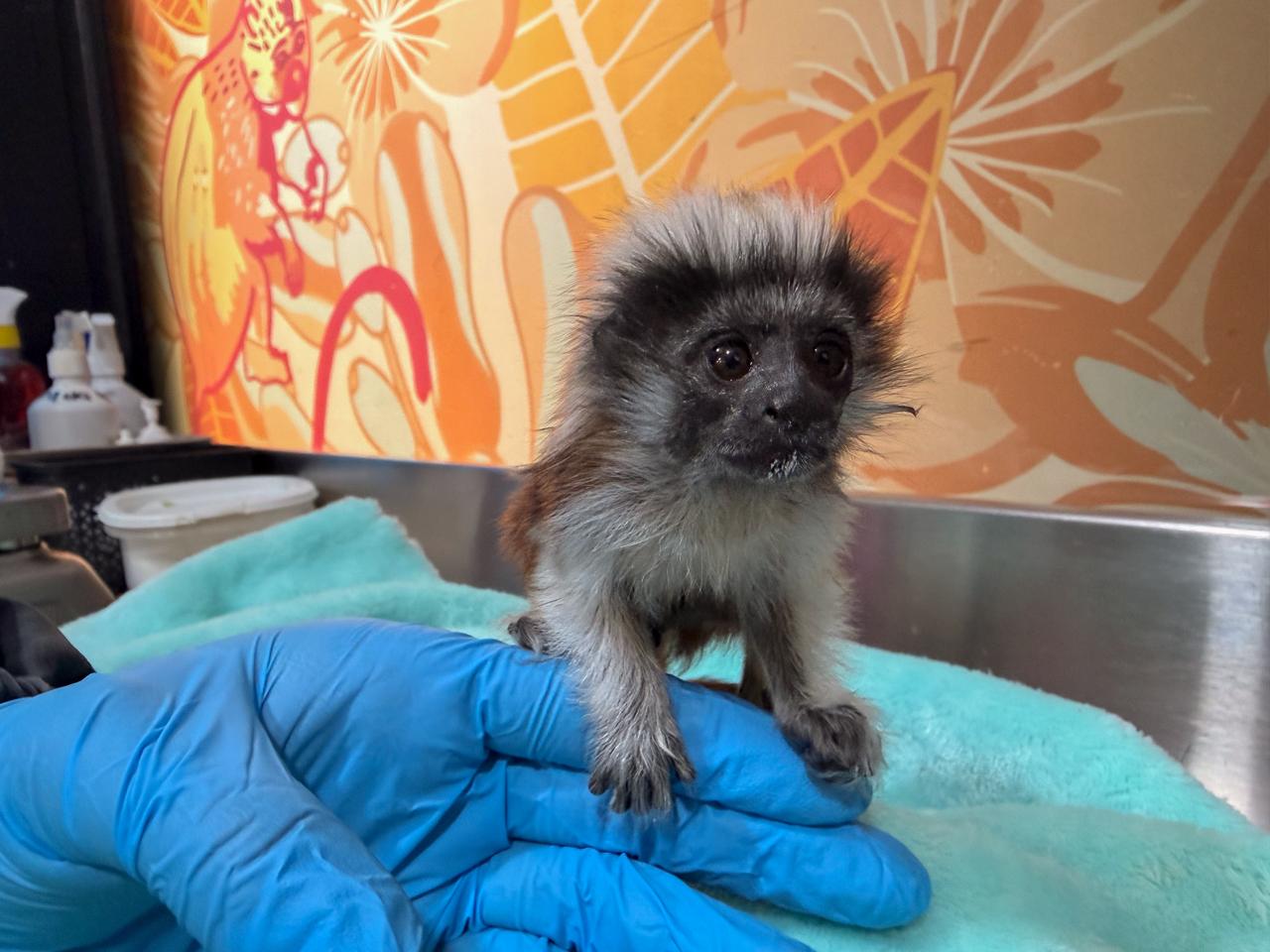 WhatsApp Image 2026 03 30 at 8.11.57 AM