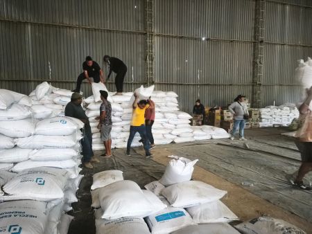 WhatsApp Image 2026 03 31 at 12.29.26 PM