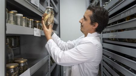 IA al servicio de la biodiversidad: Colombia y Alemania buscan acelerar el descubrimiento de especies fub pagina 12