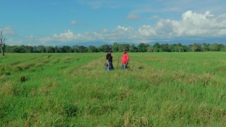 Restitución de tierras en Antioquia no supera el 15 % y mantiene a miles de víctimas sin respuesta Justicia a medias en Antioquia: el proceso de restitución de tierras apenas alcanza un 15 % de las solicitudes