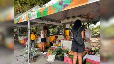 lienzo 1280 720 marca agua 13