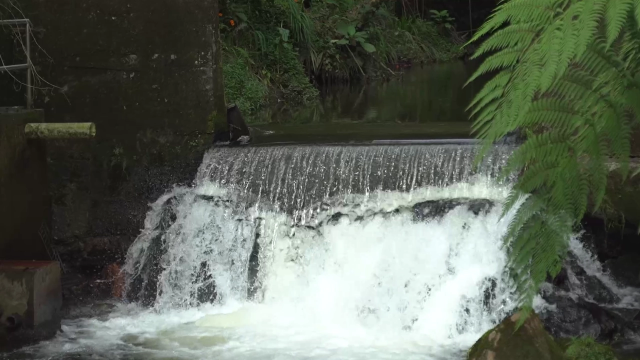 Más de 80.000 metros de fuentes hídricas han sido intervenidos este año en Envigado lienzo 1280 720 marca agua 5