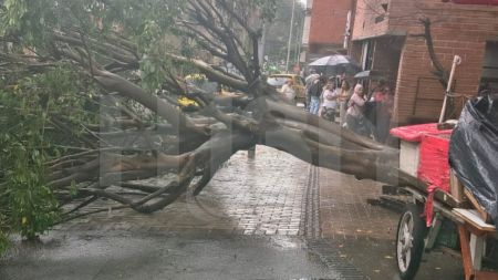 Afectaciones por las lluvias en Medellín: alcantarillas desbordadas y árboles caídos complican la movilidad