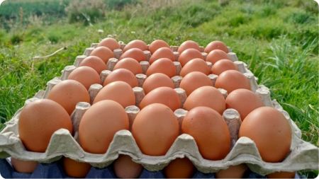 ¿Se aprovecharon de su buen corazón? Delincuentes robaron millones a familia que iba a donar huevos en Medellín ¿Se aprovecharon de su buen corazón? Delincuentes robaron millones a familia que iba a donar huevos en Medellín