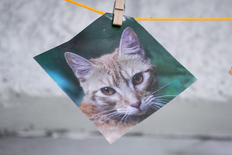 161538 whatsapp image 20260411 at 113916