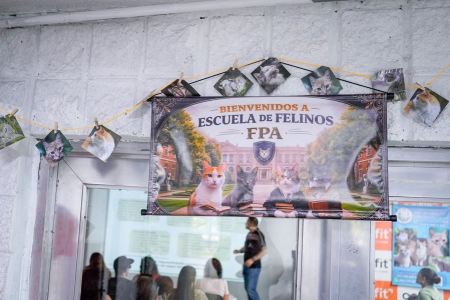 Abren nueva convocatoria de la Escuela para Propietarios Felinos en Envigado 161543 whatsapp image 20260411 at 113915 am 1 1024x600