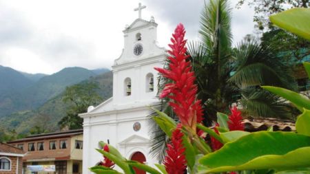 Ahora puede seguirnos en nuestro canal de noticias en WhatsApp. 14