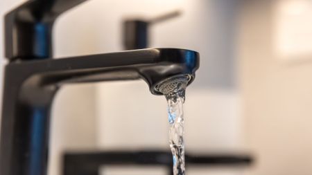 Ahora puede seguirnos en nuestro canal de noticias en WhatsApp. 17