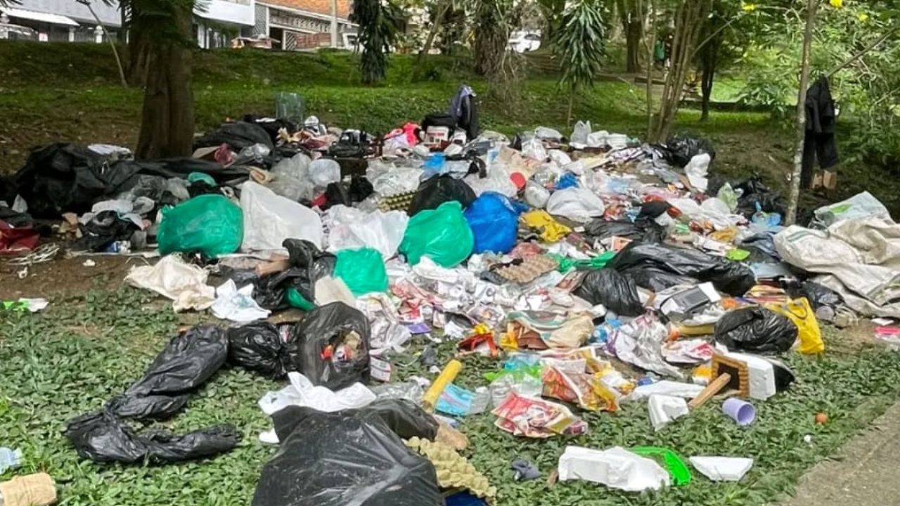 Ahora puede seguirnos en nuestro canal de noticias en WhatsApp. 2