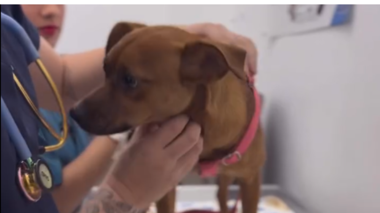 Diseno sin titulo 1 1