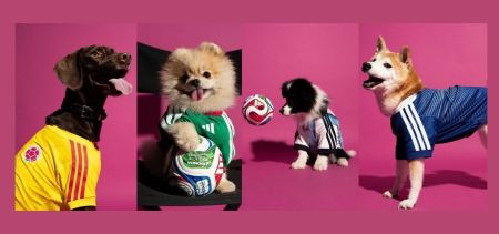 El Mundial sumará nuevos hinchas: las mascotas ahora lucen los colores de su Selección