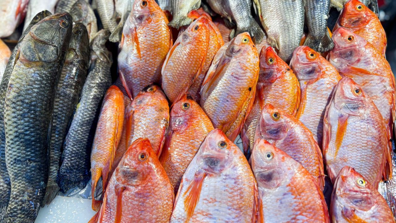 Diseno sin titulo 17