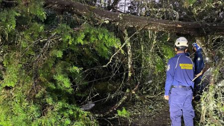 Diseno sin titulo 18