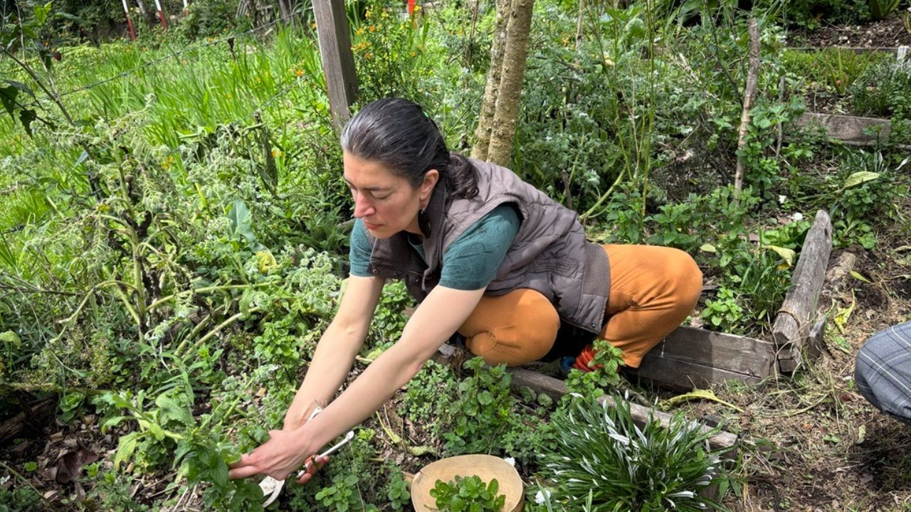 Diseno sin titulo 23