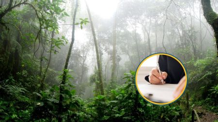 Primer año de Colombia como Estado Parte en la COP4 de Escazú ¿qué significa esto para el país?