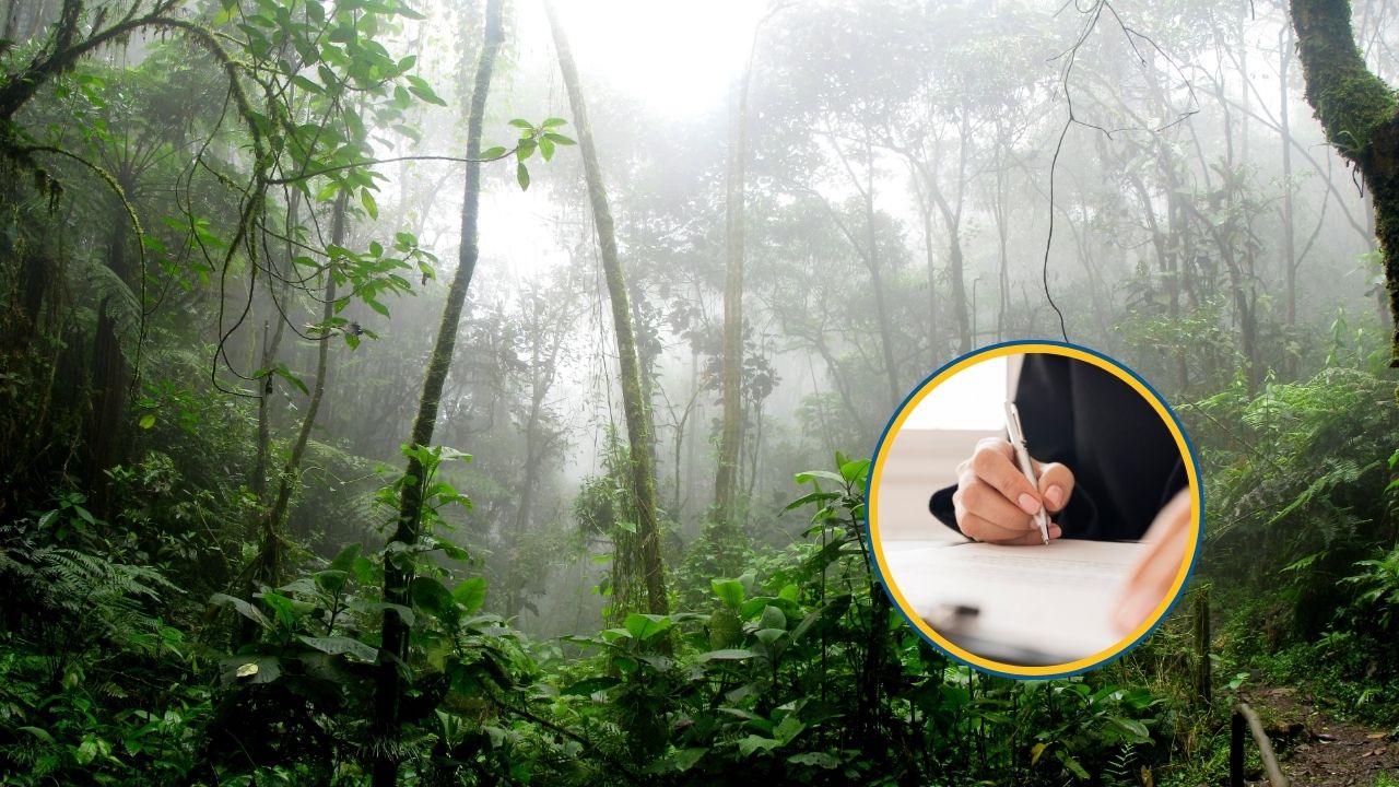 Primer año de Colombia como Estado Parte en la COP4 de Escazú ¿qué significa esto para el país?