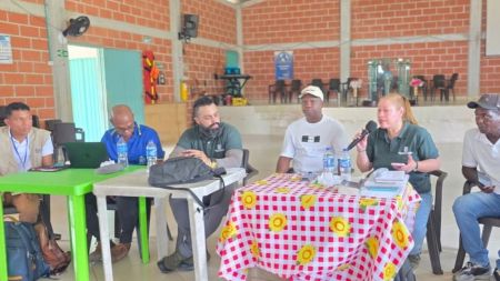 Diseno sin titulo 34 1