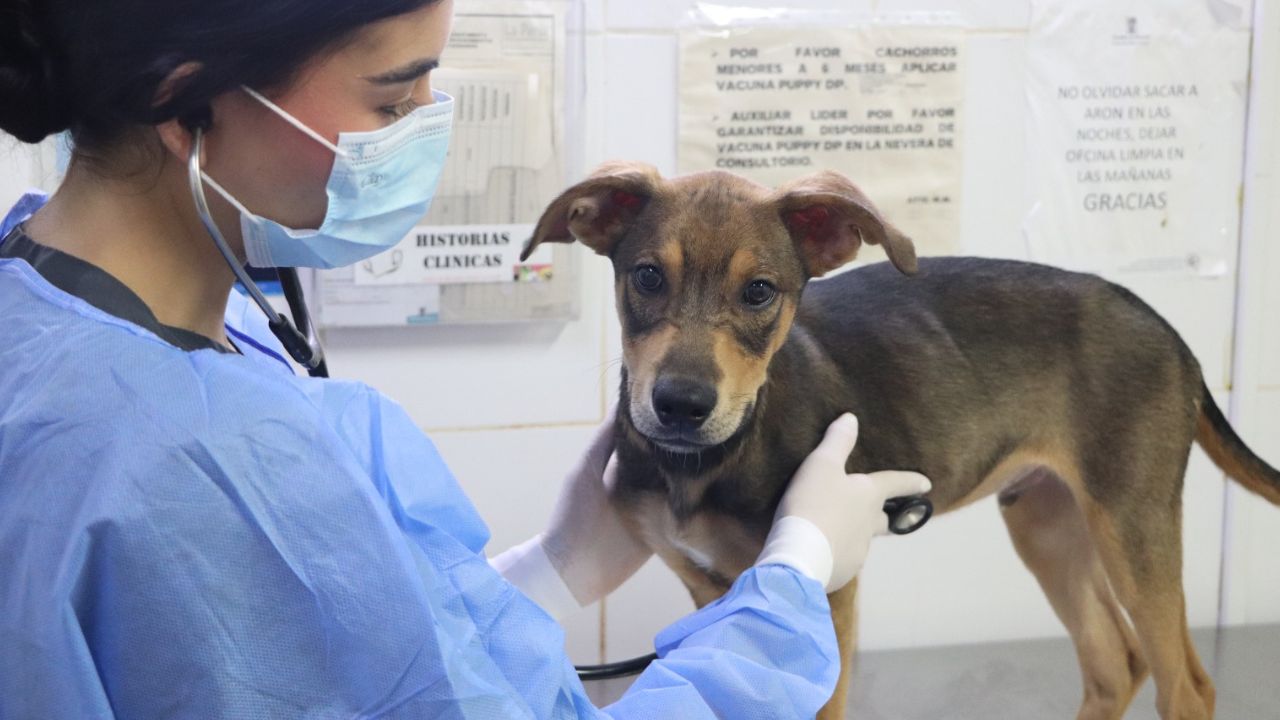 Diseno sin titulo 51