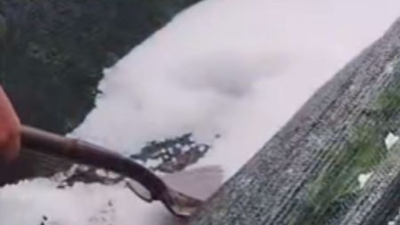 En la unión cayó una granizada que acabó con cultivos de flores que iban a ser exportadas