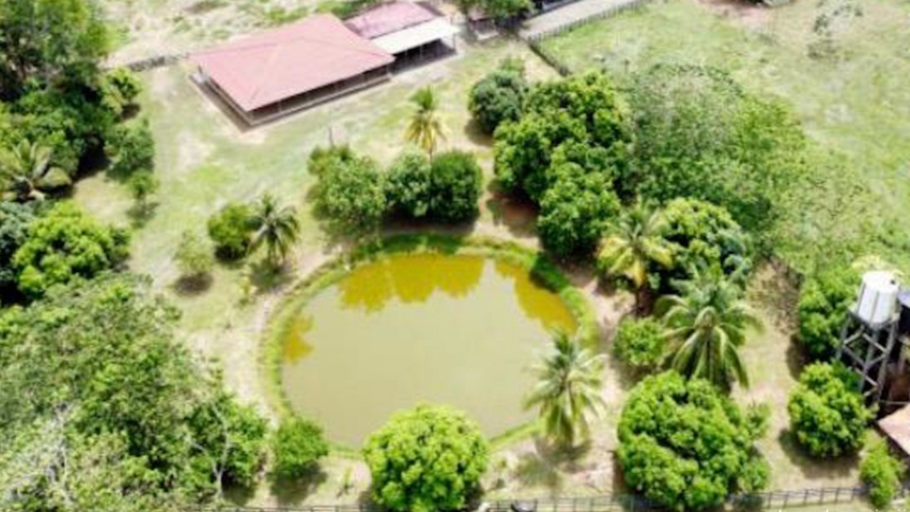 El Estado incautó 19 propiedades que estarían ligadas a grupos paramilitares por más de $65.000 millones