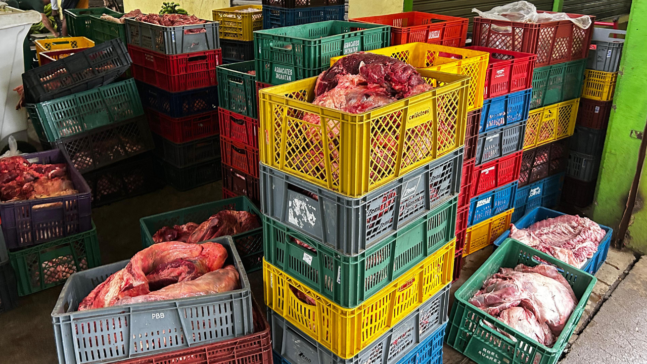 Un riesgo para la salud: incautan 4 toneladas de carne en mal estado en Campo Valdés