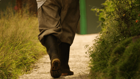 ¡Nadie quiere el puesto! En el Norte y Nordeste le huyen a la presidencia de las JAC por miedo ¡Nadie quiere el puesto! En el Norte y Nordeste le huyen a la presidencia de las JAC por miedo