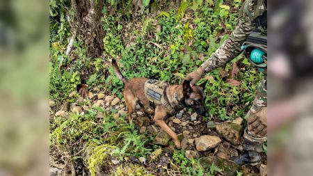 Encontraron explosivos improvisados en Briseño del frente 36