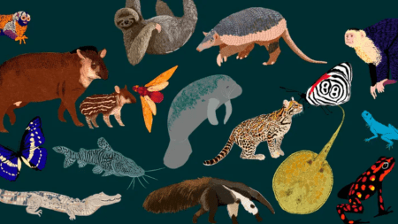 44 especies de animales en Colombia están a punto de extinguirse por culpa de los grupos armados