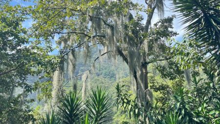 Medellín ranking Time Out