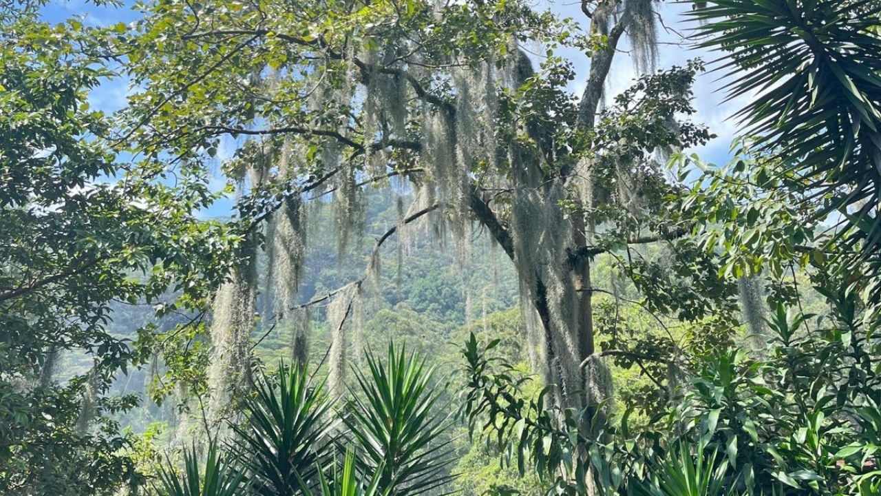 Medellín ranking Time Out