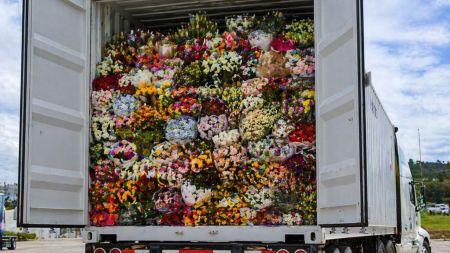 Flores Puerto Antioquia