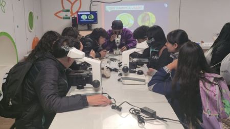 “No hay plata para la investigación y la innovación”: polémica por recorte al presupuesto de MinCiencias MinCiencias