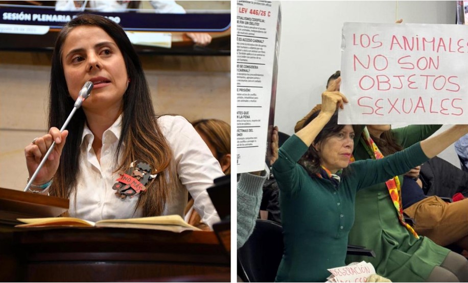 Avanza en el Congreso proyecto de ley que busca penalizar el abuso sexual contra animales 1 Avanza en el Congreso proyecto de ley que busca penalizar el abuso sexual contra animales