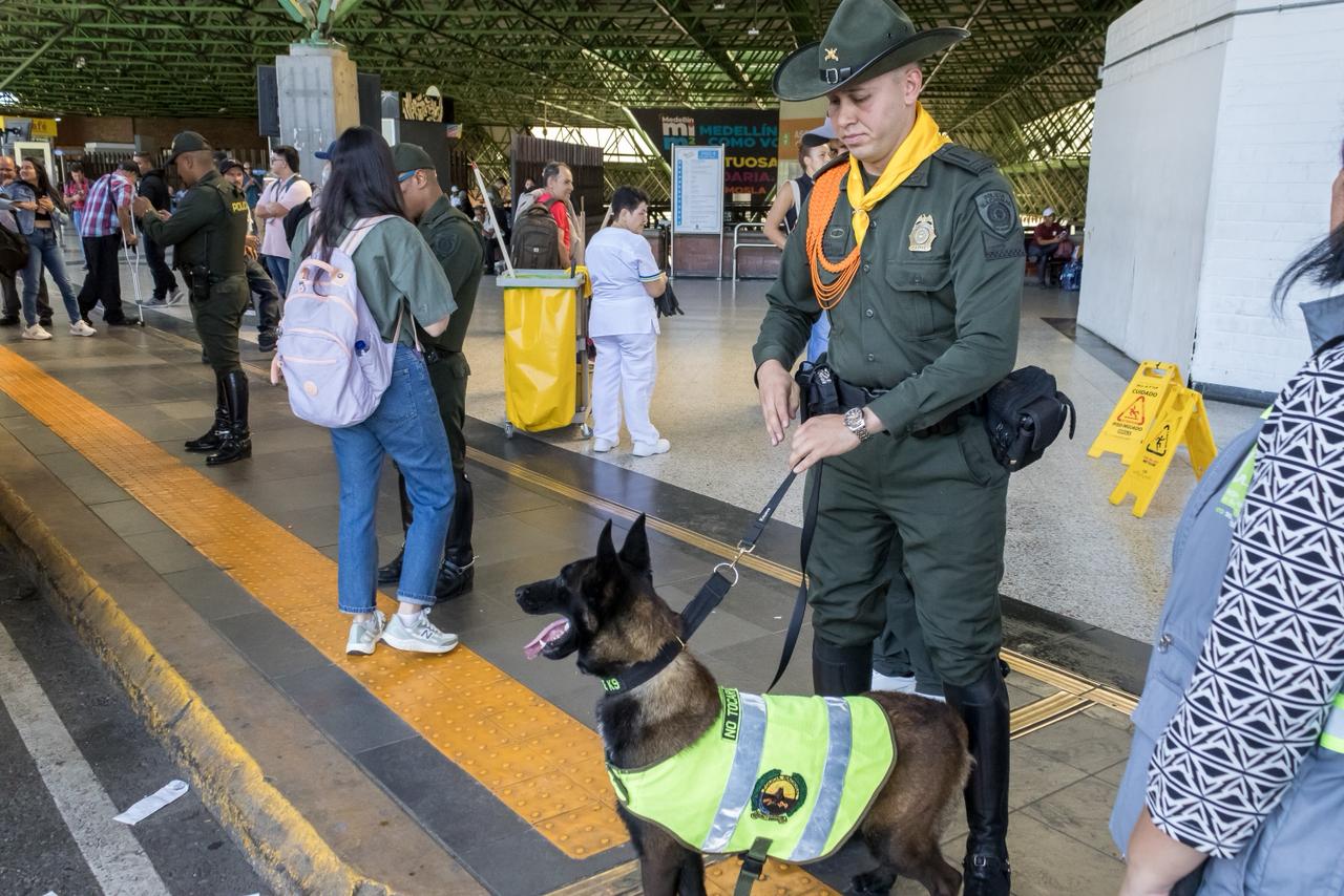 fauna silvestre en terminal de transporte
