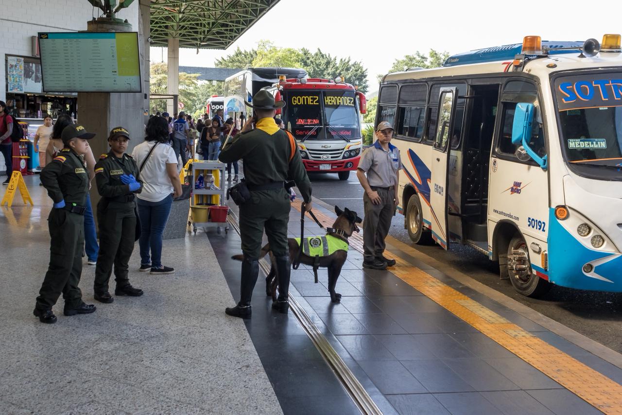 Fauna silvestre en la terminal de transporte