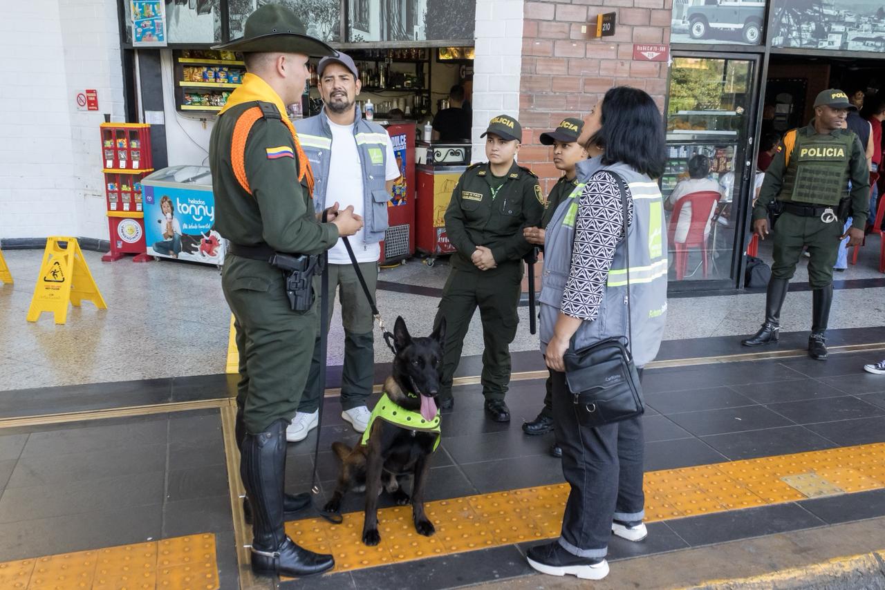 fauna silvestre en terminal del norte