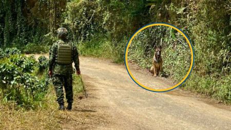 Explosivos en Andes