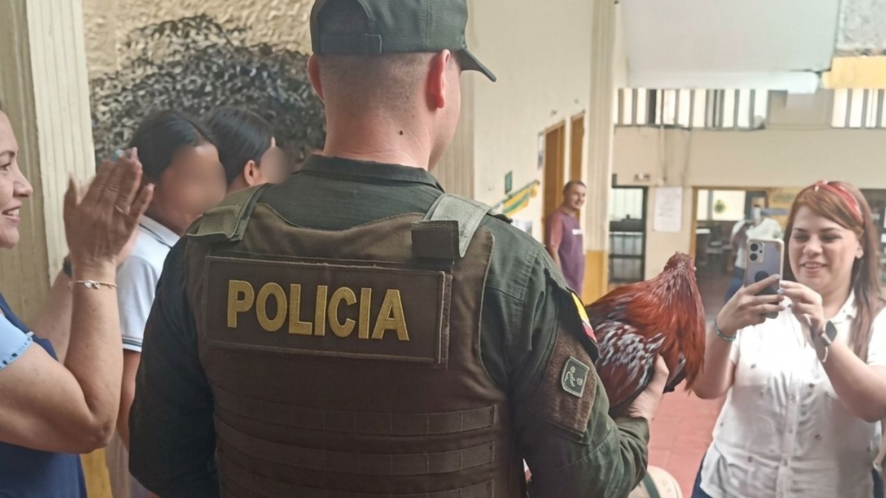 El gallo "Claudio" regresó a un colegio de Andes luego de que habría sido hurtado