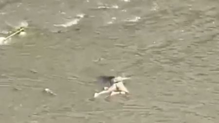 “Parece que es una mujer”: encuentran cadáver flotando en el río Medellín