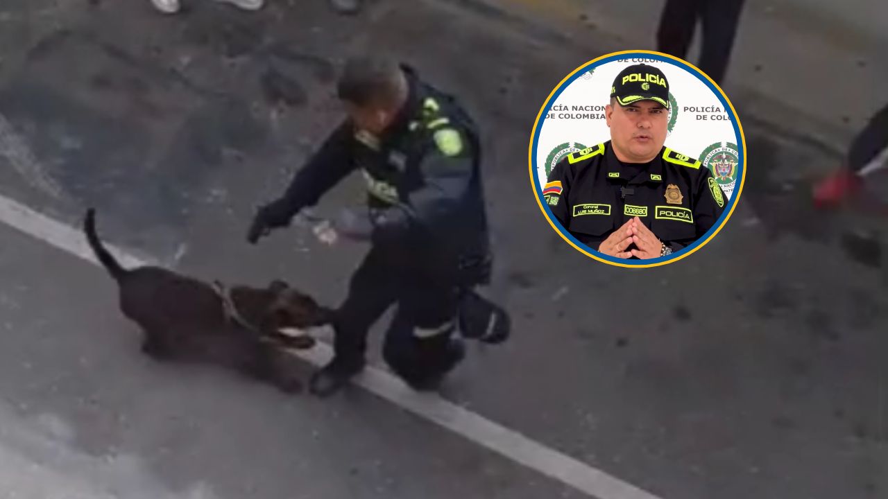 Policia se pronuncia