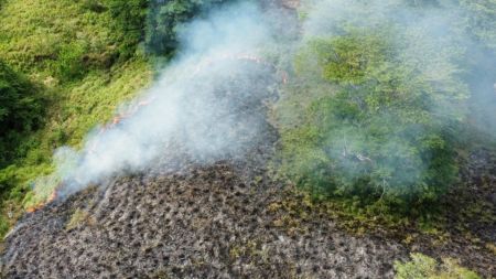 ¿Qué lo provocó? Un incendio en La Pintada casi termina consumiéndose una finca