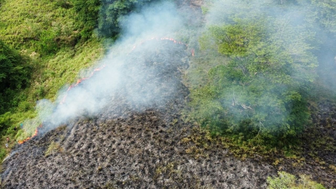 ¿Qué lo provocó? Un incendio en La Pintada casi termina consumiéndose una finca
