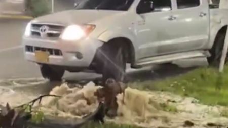 VIDEO "Mero daño hizo": conductor se llevó por delante un hidrante en Itagüí y se habría volado luego de provocar una inundación