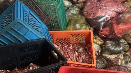 Decomisan cerca de 9 toneladas de carne “podrida” en Donmatías