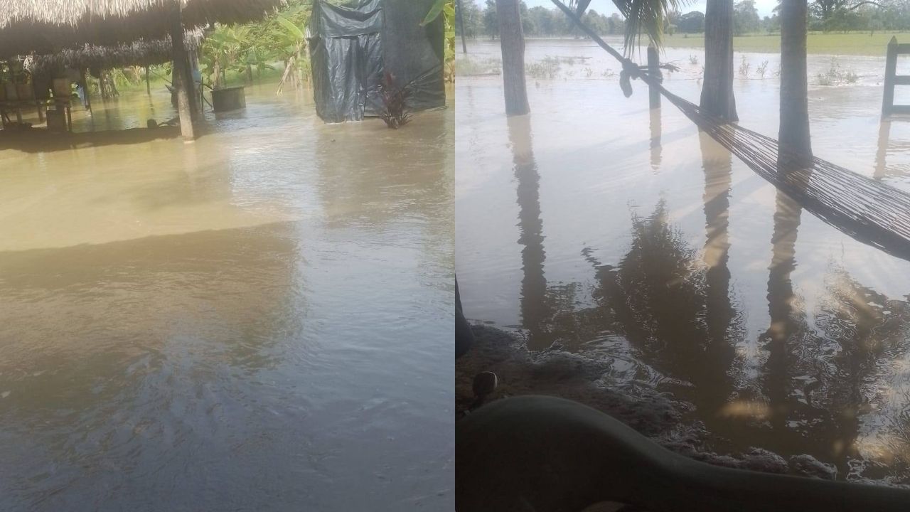 Varias veredas de San Pedro de Urabá amanecieron bajo el agua por las lluvias