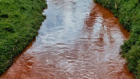 ¿Por qué? La quebrada La Marinilla se tiñó de un color extraño