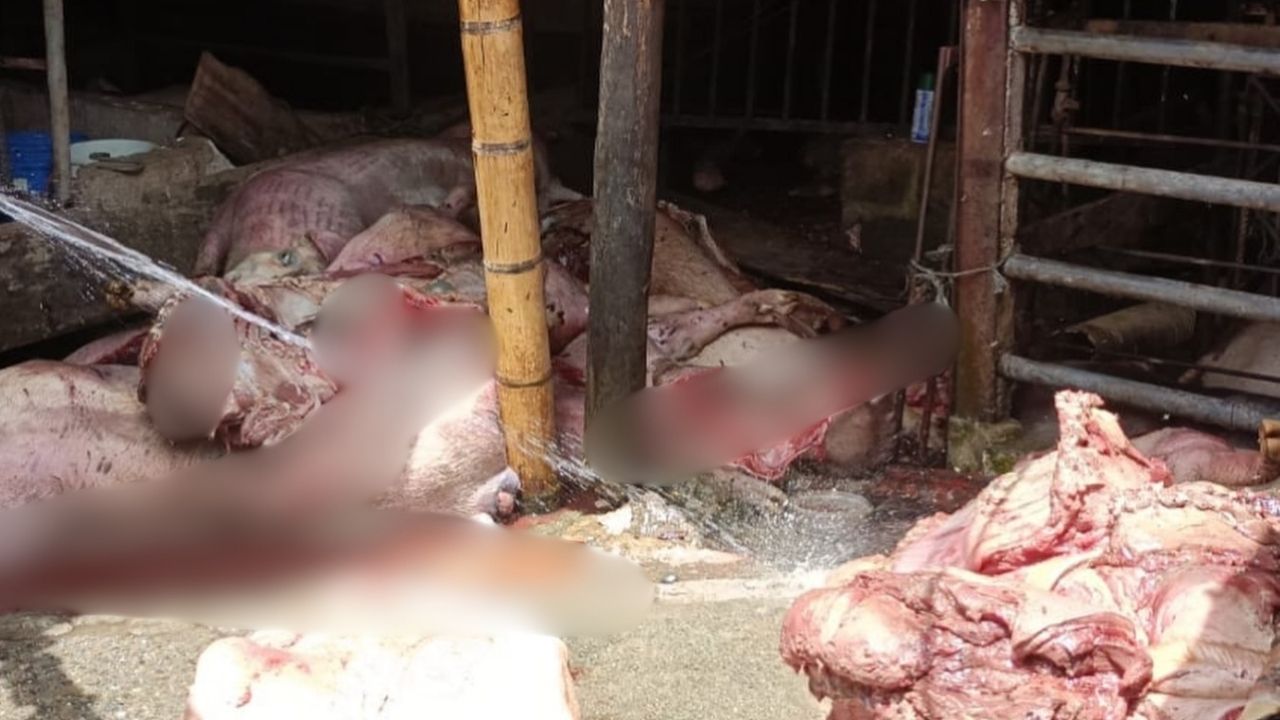 ¿Para donde con tanta carne dañada? Encuentran más de 3 toneladas en La Pintada